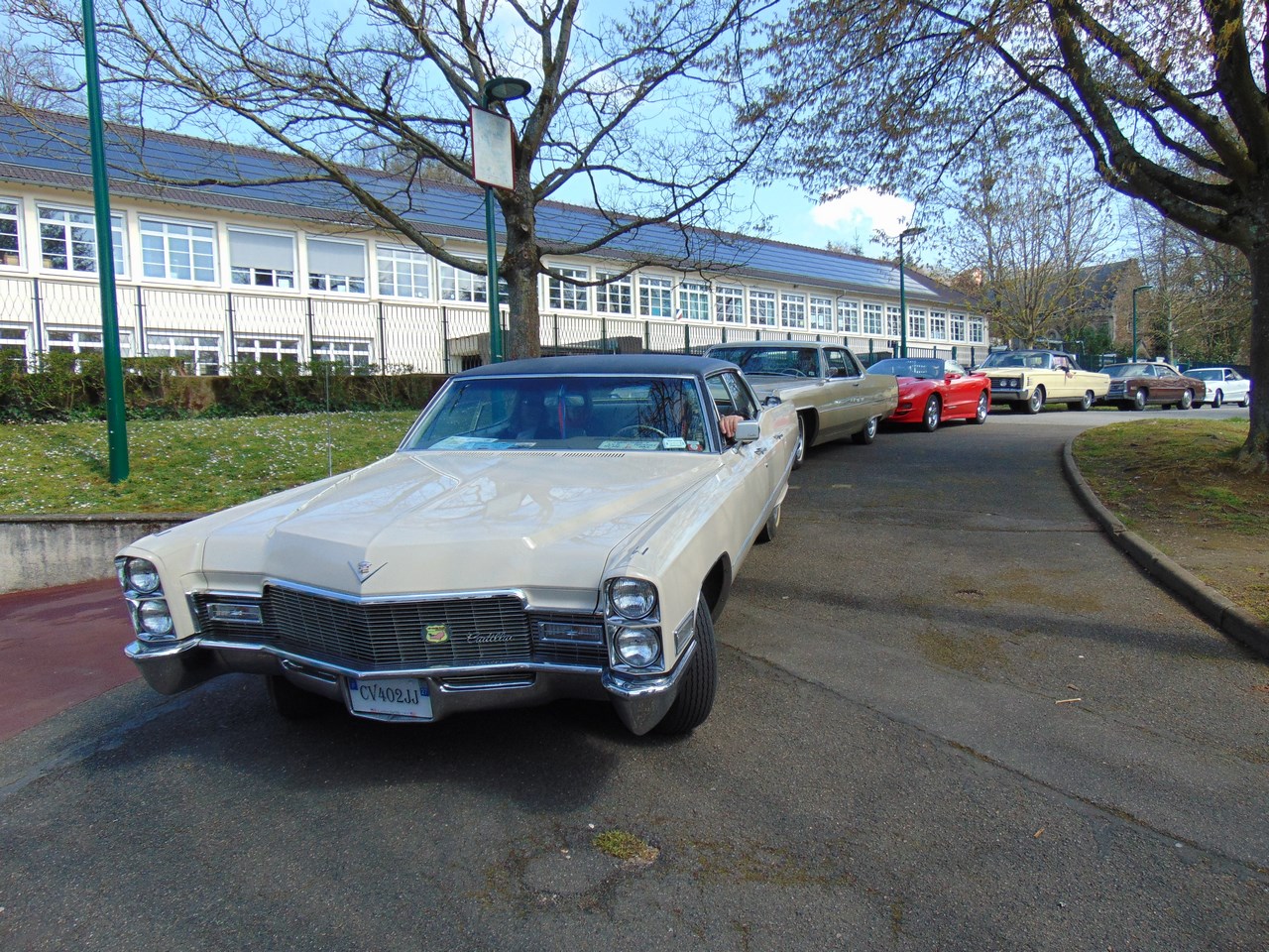 DSC00651 (Copier).JPG