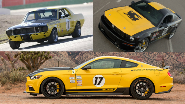 Shelby-Terlingua-Mustang-153111.jpg