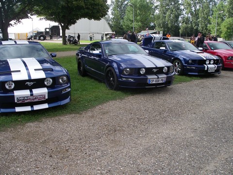 IMGP0023 (Copier).JPG