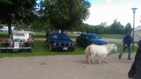 21462904_1696283863738242_8191805638831386176_n (Copier).jpg