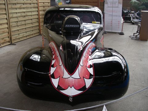 IMGP0066 (Copier).JPG