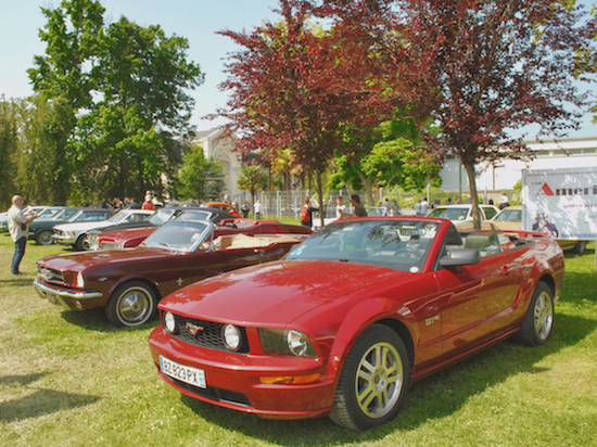 DSC_0223.jpeg
