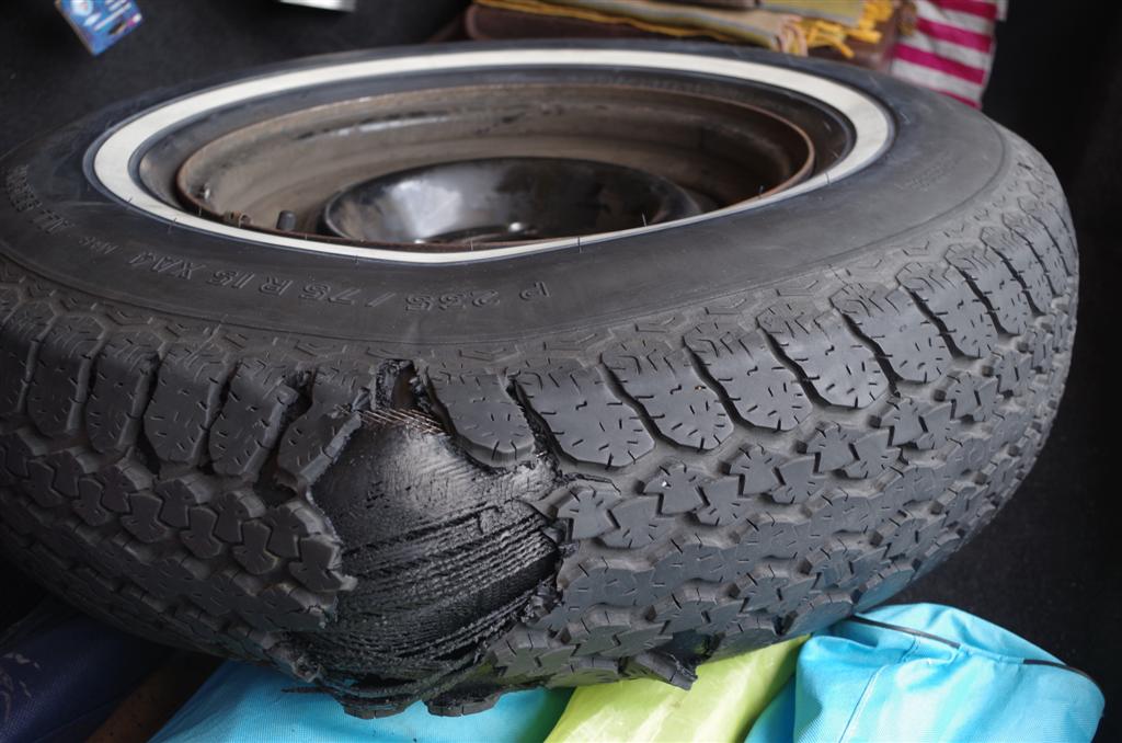 IMGP5843 (Large).JPG