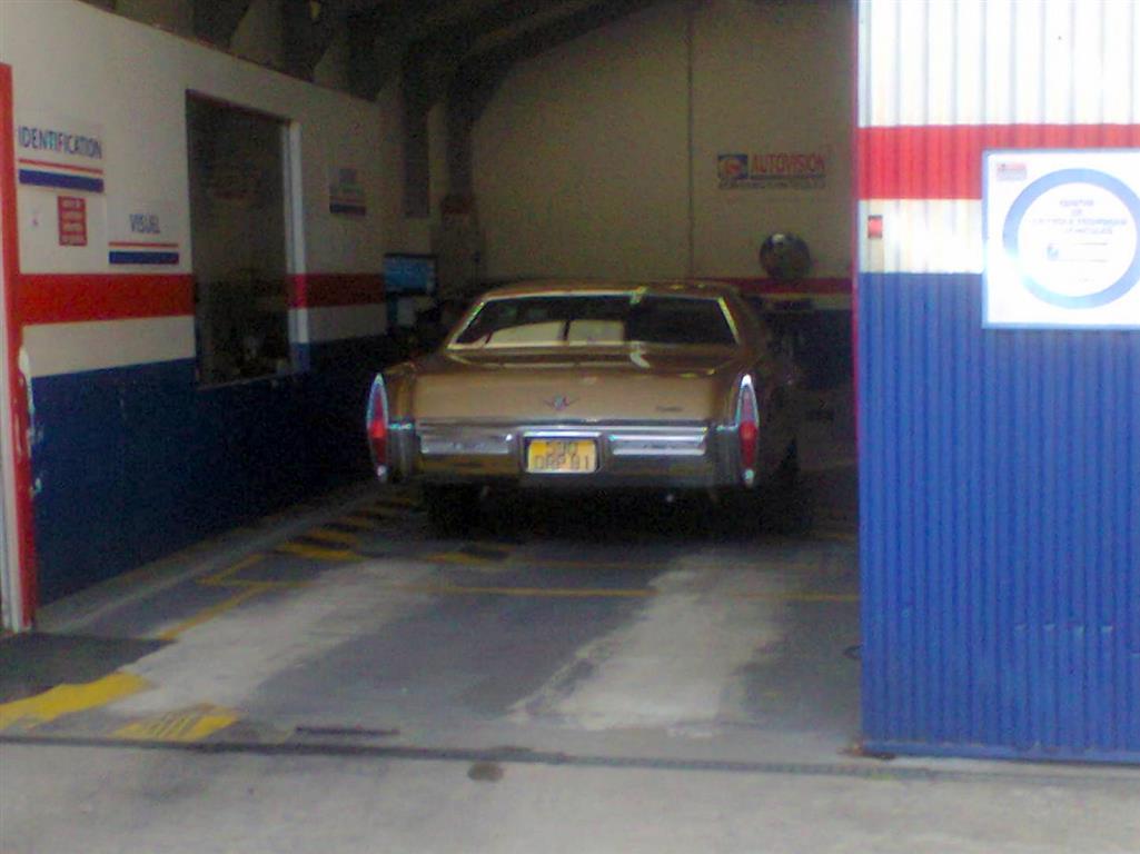 Photo0878 (Medium).jpg