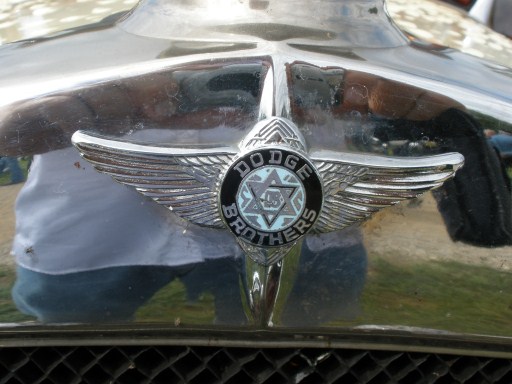 P9040257 (512 x 384).jpg