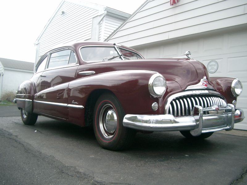 resized_Polar's first days with us 001.jpg