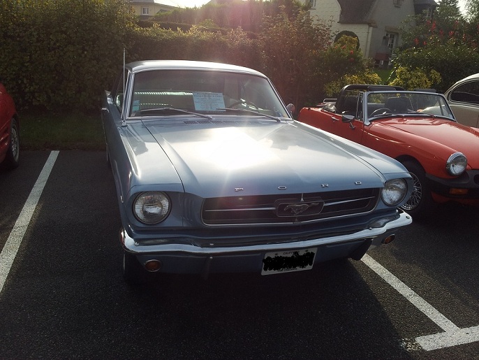 mustang 11.jpg