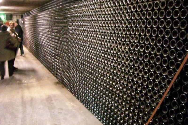 2010-11-08-Sortie en Champagne_006.jpg