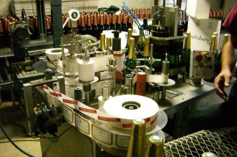 2010-11-08-Sortie en Champagne_007.jpg