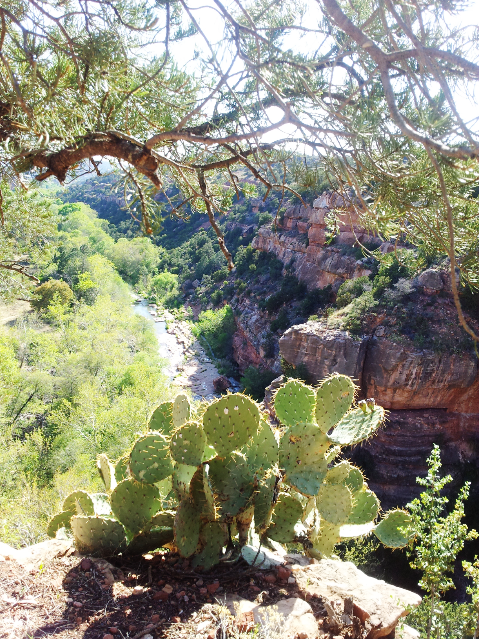 2013-04-22 19.43.55c.png