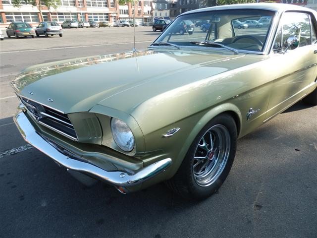 P7050972 (Small).JPG