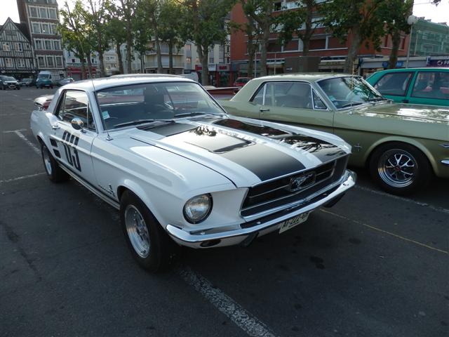 P7050991 (Small).JPG