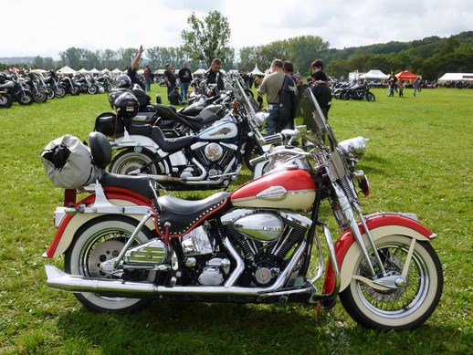 P1020192 (Copier) (Copier) (Copier).JPG