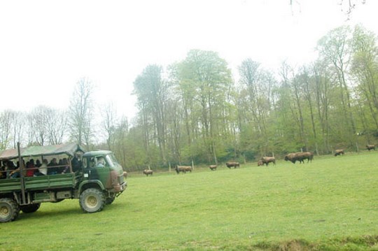 visite-07 [640x480].jpg