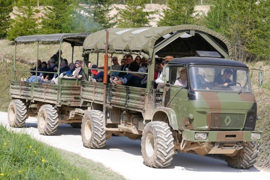 i103670156._szw1280h1280_ [640x480].jpg