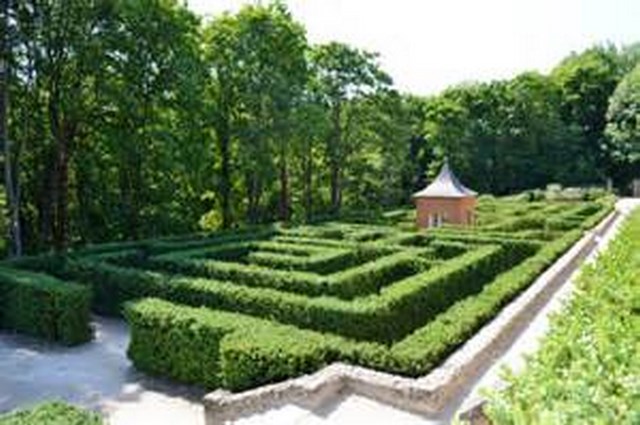 th21T6AEG7 (Copier).jpg