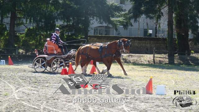 haras-tarbes-2017 21