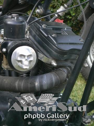 dumpy-run-2014 8