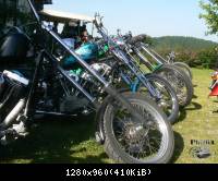 dumpy-run-2014 10
